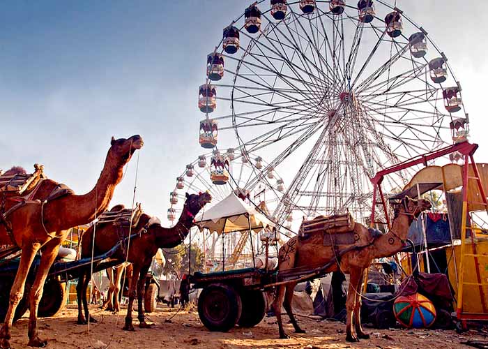 Pushkar Camel Fair 