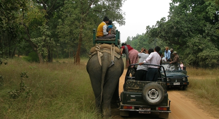 Rajasthan Safari Booking