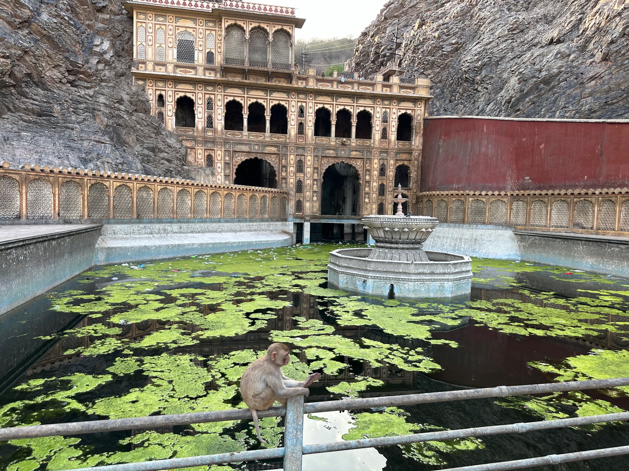 Monkey Temple Jaipur, Rajasthan (Entry Fee, Timings, & History )